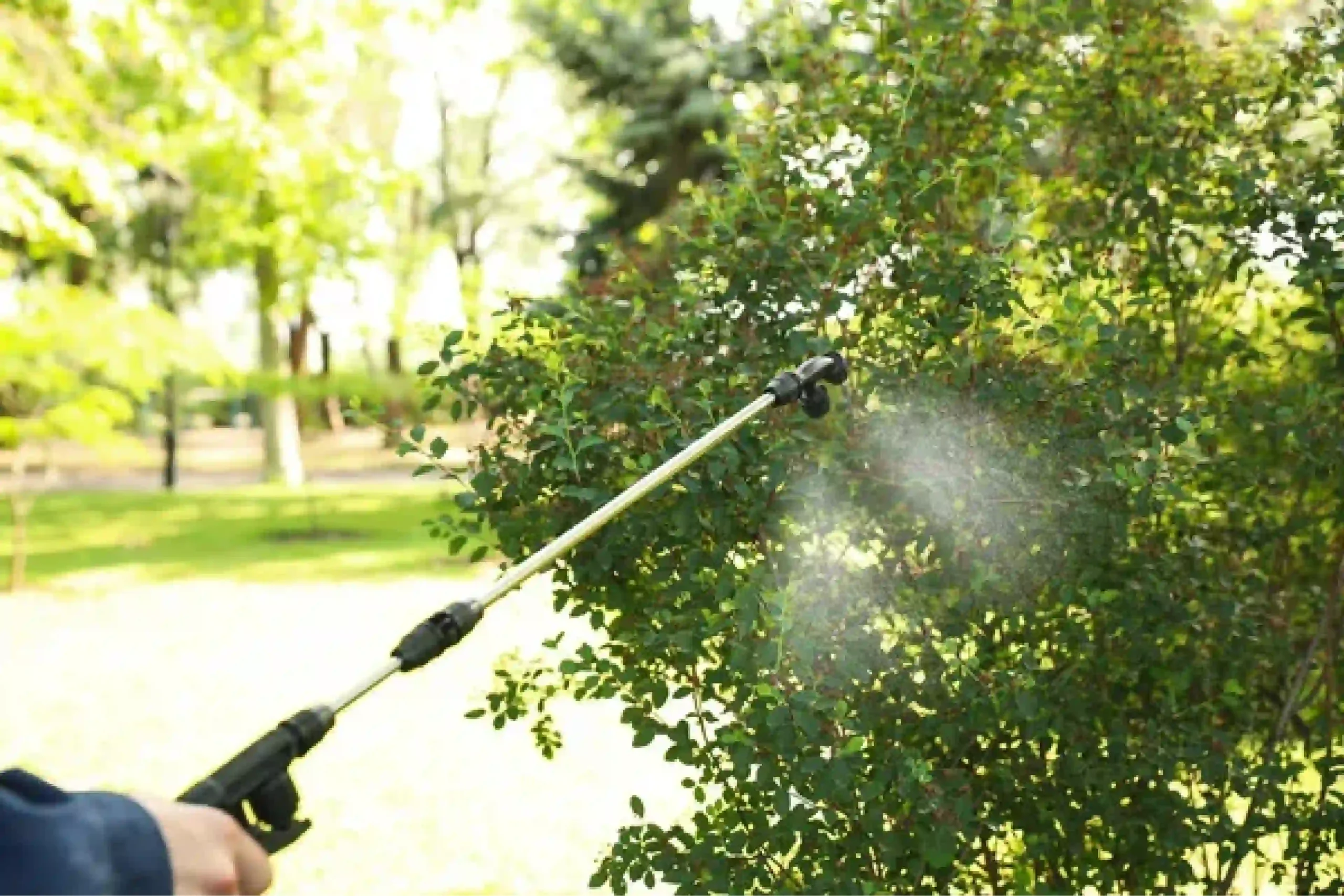 Explore organic and inorganic pest control options for ticks and mosquitoes from Suffolk County Tick & Mosquito Spraying.